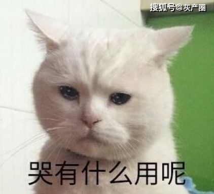 都说网恋不靠谱,那么网上跨国恋呢