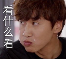 长颈鹿李光洙豪华表情包
