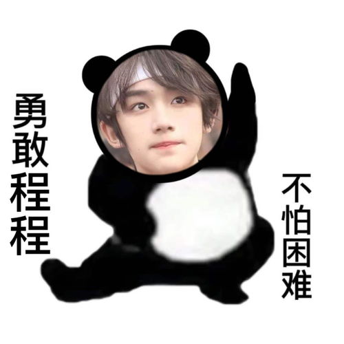勇敢时代少年团,不怕困难表情包大赏