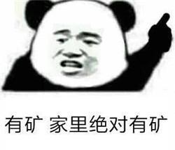 矿家子弟搞笑表情包我家里有矿,做我女朋友吗