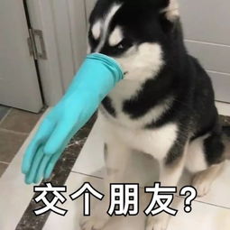 我要离职了老板深夜居然向我提出特殊要求,怎么办在线等,挺急的