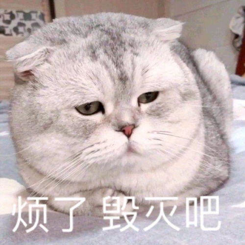 有没有那个累了毁灭吧,赶紧的表情包