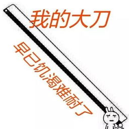 萌妹陪您备战轮回之境,听小姐姐讲不可描述的神秘剧情