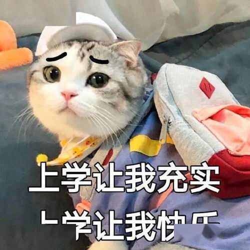 高考冲刺必备状态签名表情包最后100天,拼了