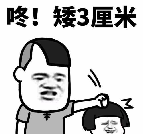 正能量表情包女少年盾