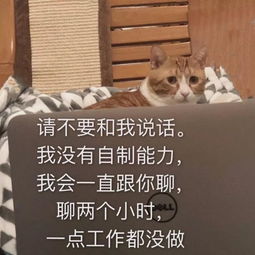 乐活丨女生不化妆的原因竟然是...