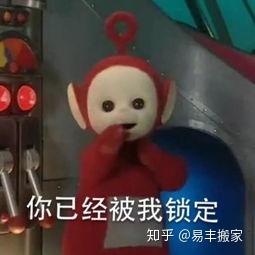 选什么搬家公司