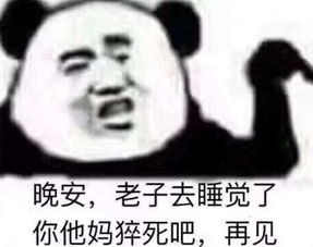 熊猫头表情包你今天骂我来着,这个仇我先记下来