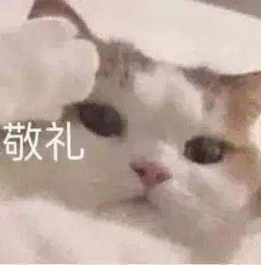 搞笑聊天表情包i你在教我做事啊