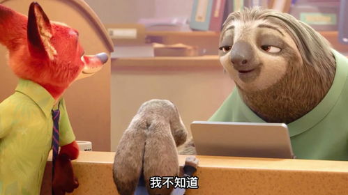 动物世界,树懒每小时最高速度2米,世界上动作最慢的动物之一