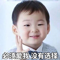 表情包摊牌吧,我喜欢你