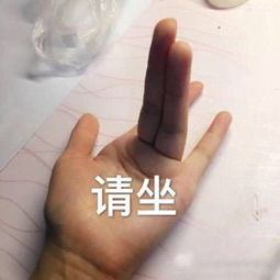 对号入座