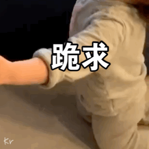 向对象道歉表情包,黄夏温可爱套图向恶势力下跪,我错啦