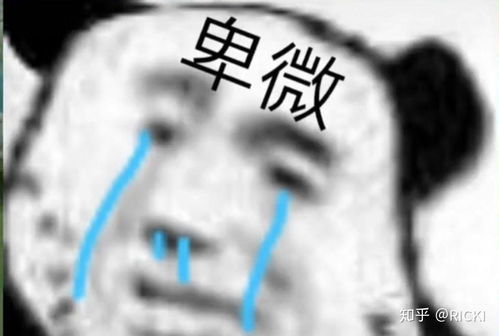 保存了好久的沙雕表情包哈哈哈哈