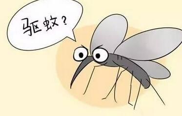 夏天到,盆栽里都是蚊子,学会这3招,再也不用担心蚊子