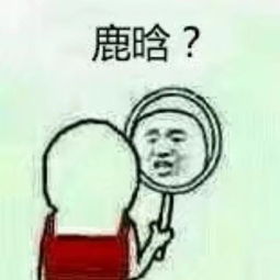 你曾起过最沙雕的网名是什么