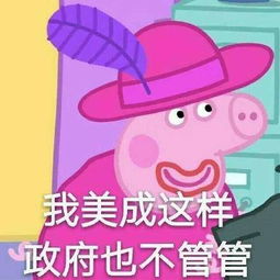 钓不动表情包小猪佩奇