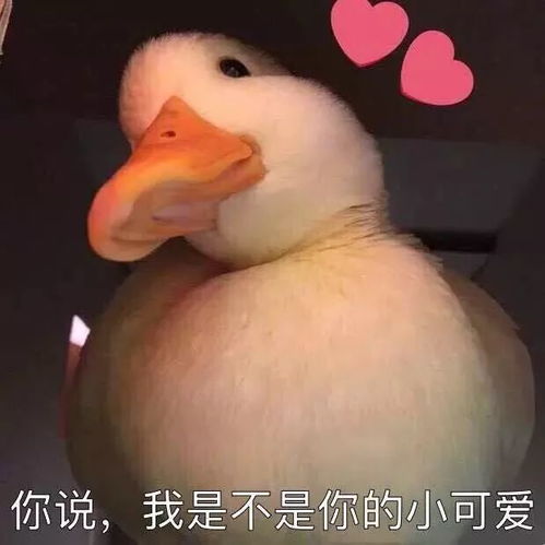 电影流浪地球免费看啦