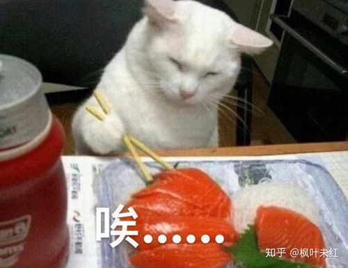 男朋友的社交平台从来没有发过女朋友这是什么想法