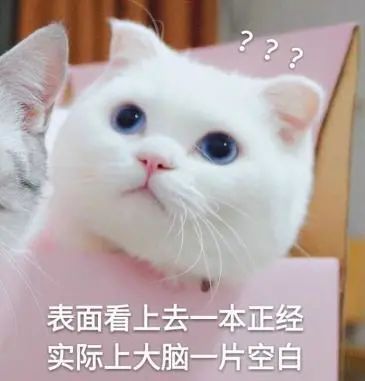 yydsxswlu1s1都是啥意思家恩德运来测试这段文字你能读懂多少