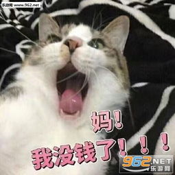 猪猪想要点钱吃饭表情包能给贫穷的女儿一点生活费吗表情包图片下载乐游网游戏下载