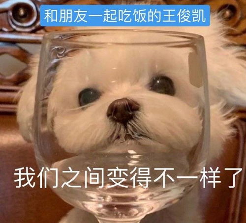 分享一组减脂时的王俊凯纪实摄影,小俊接下来要好好吃饭啊