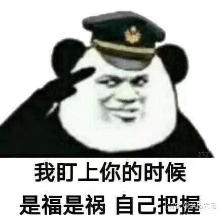 黄金矿工赚钱表情包海明威