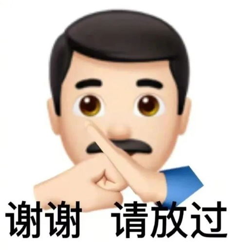 表情包你女朋友,不会揍我吧