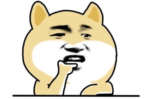 笑话带着男朋友回家,老妈包的饺子,男朋友习惯一口就一个