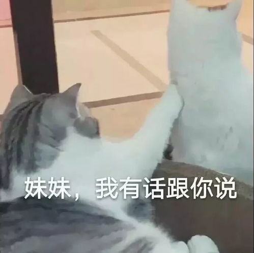假装自己很合群