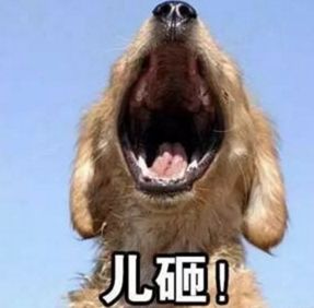 我妈,真skr人才妈妈
