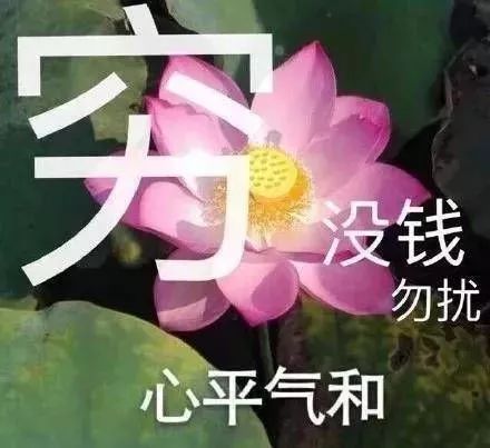 提前用完生活费是一种怎样的体验