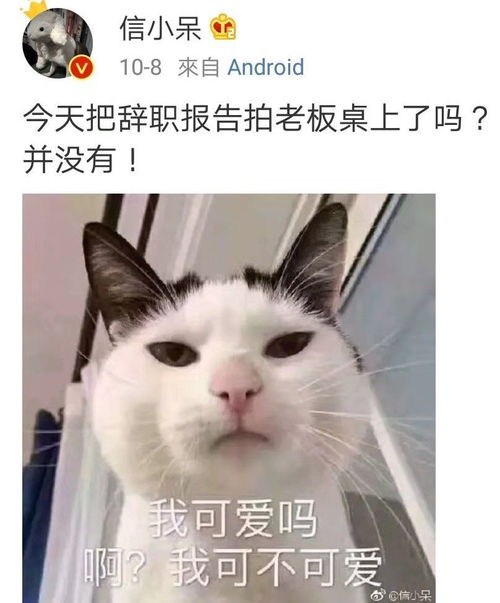 2018十大流行语丨你有被时代抛弃吗