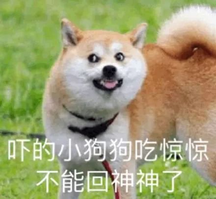表情包大全日常斗图表情包