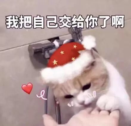 整装待发表情包武汉