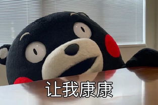 表情包丨算命吗十块钱一次你算什么东西