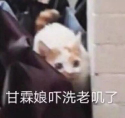 女大学生去日本把民宿住成垃圾堆,竟称因为爱国...