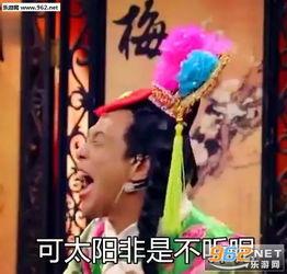 独得太阳恩宠表情包大全独得太阳恩宠表情包宋小宝版完整版下载乐游网游戏下载