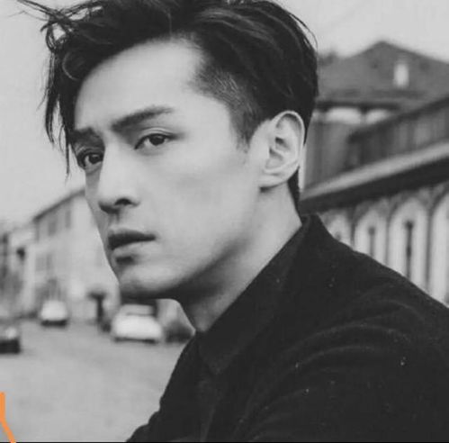 80后男人照片真实头像图片胡歌