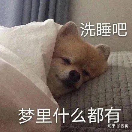 想啥呢洗洗睡吧表情包