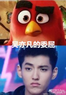 小鱼儿撞脸维尼熊周冬雨撞脸小黄鸭...明星神撞脸谁最强