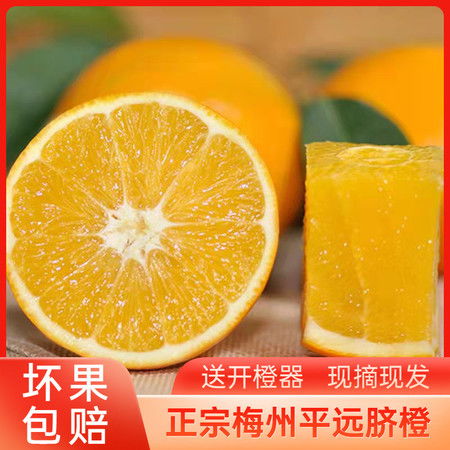 梅州平远橙新鲜脐橙5斤10斤装包邮中大果应当季水果可手剥脐橙甜橙