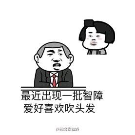 吹头发表情包