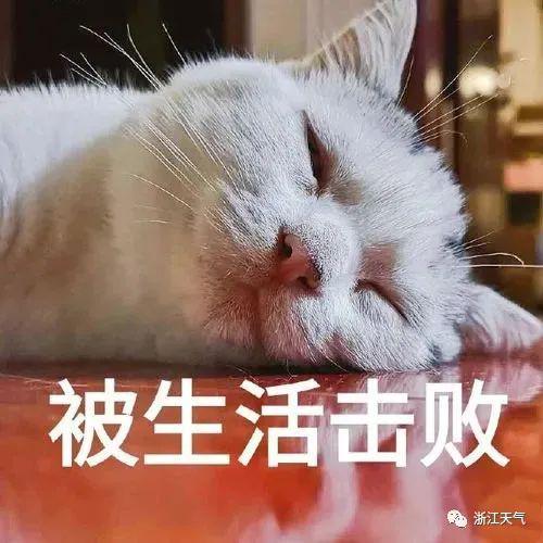 台风终于有消息了浙江接下来的天气