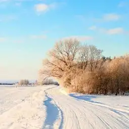 唯美的冬季雪景微信头像
