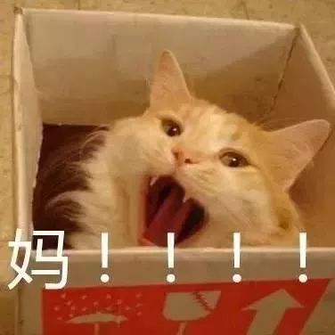 瞩目你要的冬日衣物清洁秘籍来啦