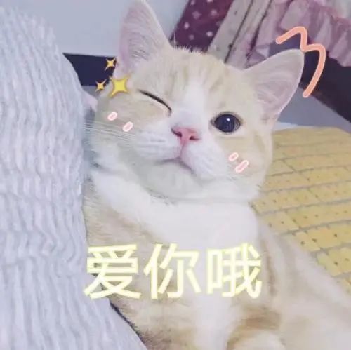 ipad分屏第九期procreate教程分屏技巧篇超好用的ipad软件推荐