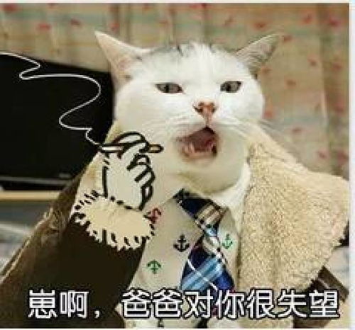 王者荣耀新皮肤逐梦之星10点券预购,为马克波罗打call