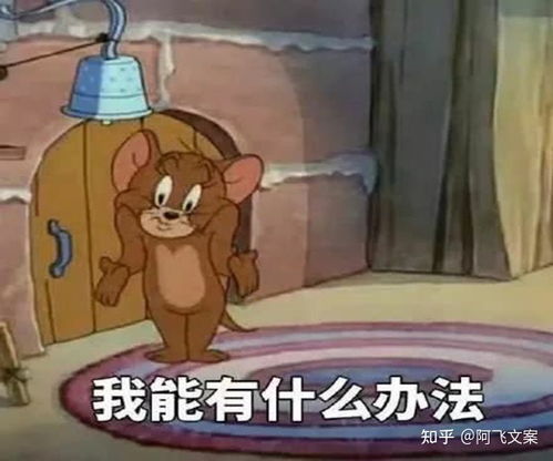 第五人格沙雕表情包猫和老鼠