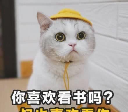 幽默段子这年头男人要是跟男人结婚,就会有两套房两辆车